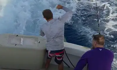 Haleiwa Report Video 0