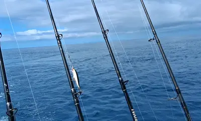 Dana Point Report Video 1