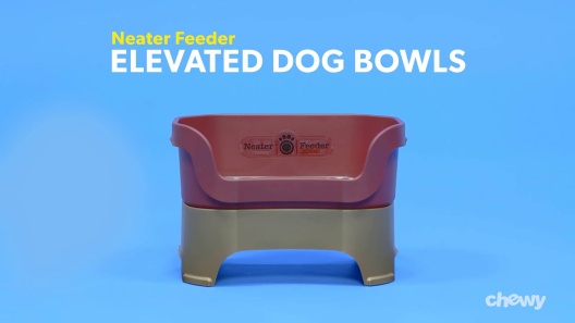 Neater Pet Brands Big Bowl - Extra Large Water Bowl for Dogs (1.25 Gallon  Capacity) - Huge Over Size Pet Bowl - Champagne