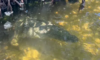 Best boat tour experience!