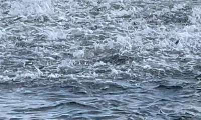 Narragansett Report Video 0