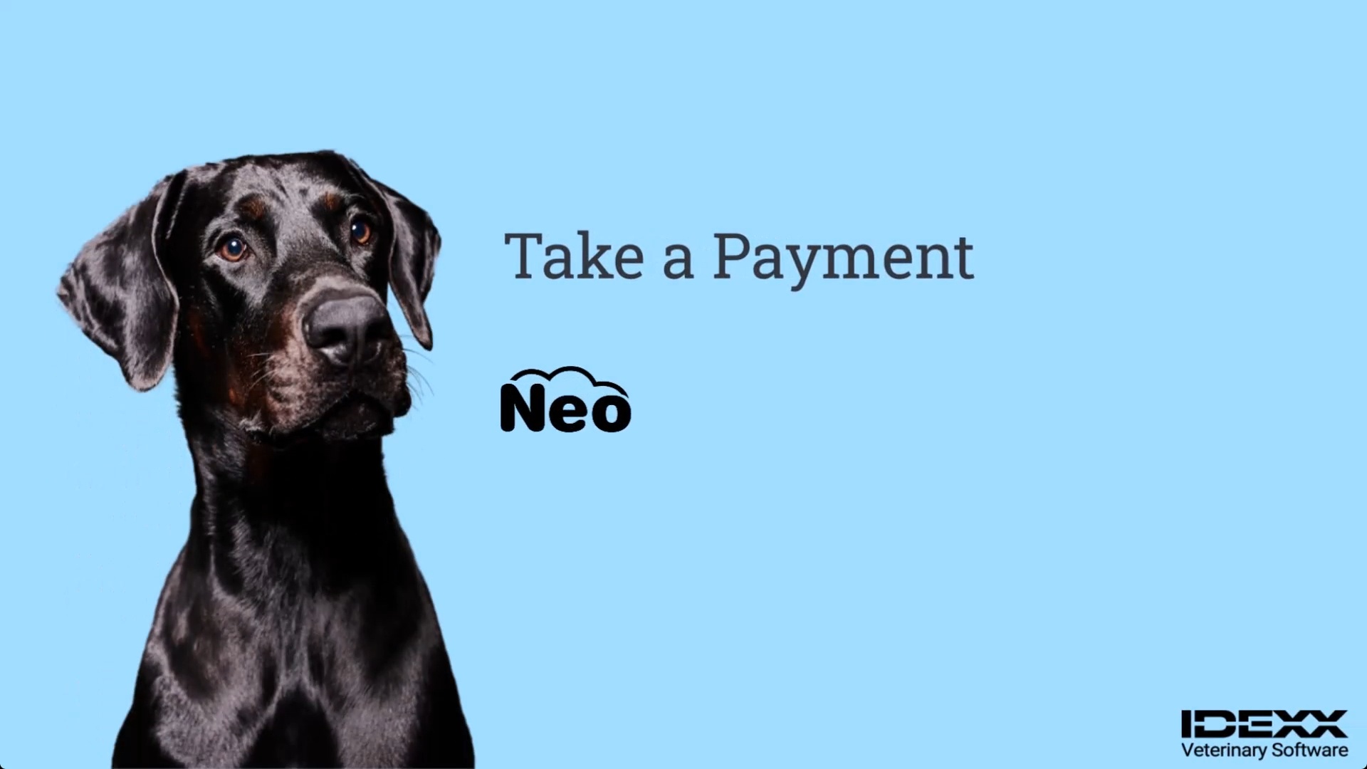 Take a payment – IDEXX Neo