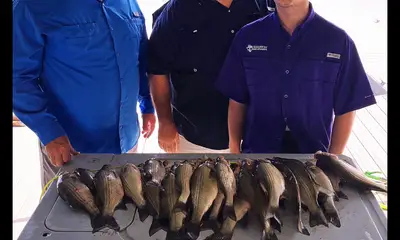 West Tawakoni Report Video 0