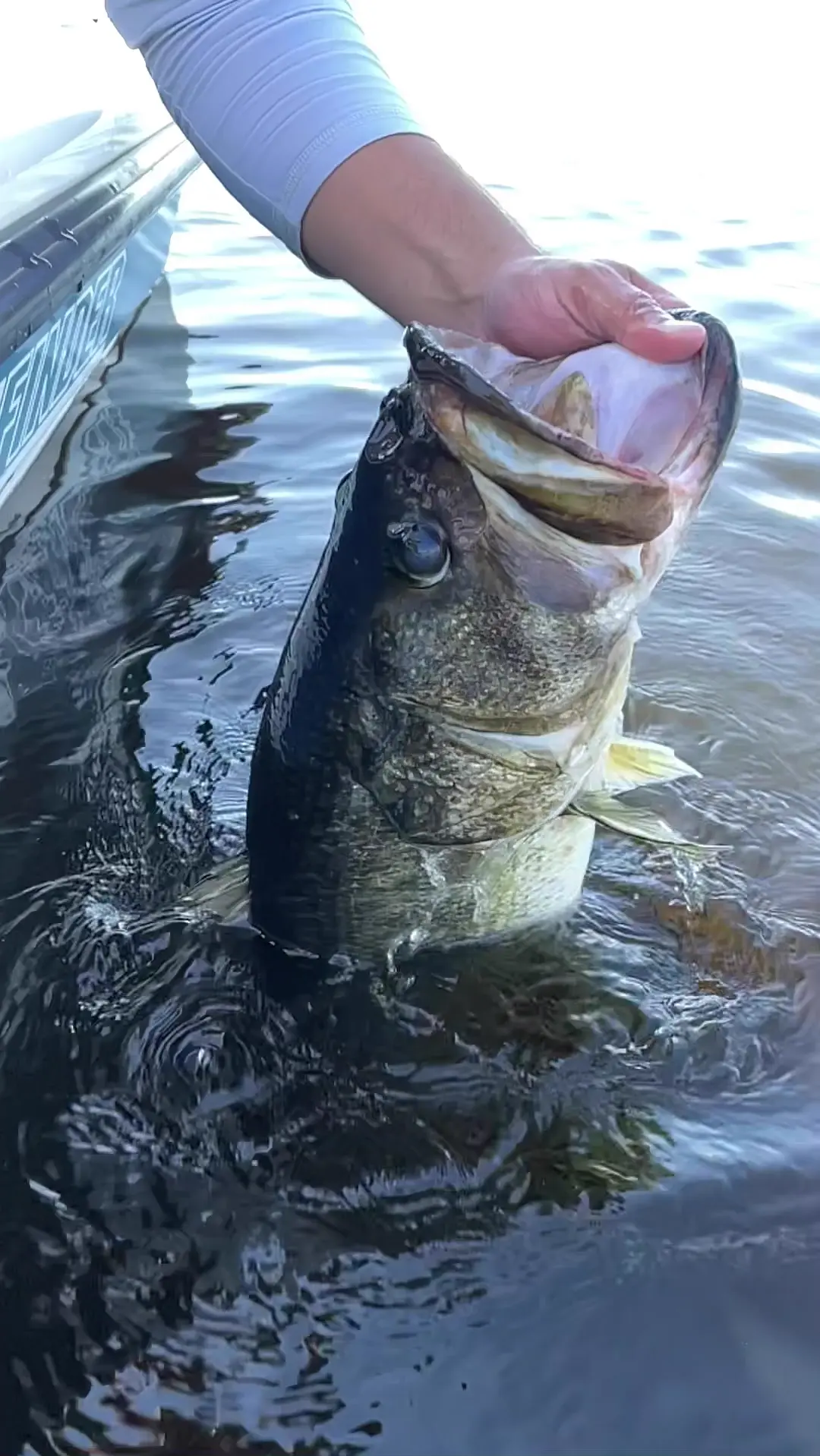Business Card: Kickbass Fishing Charters LLC