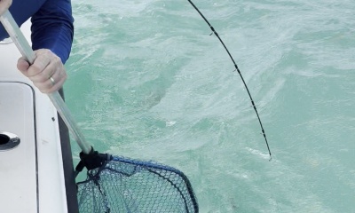 best fishing guide
