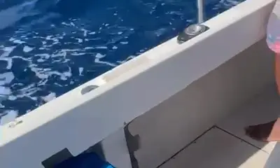 West Bay Report Video 0