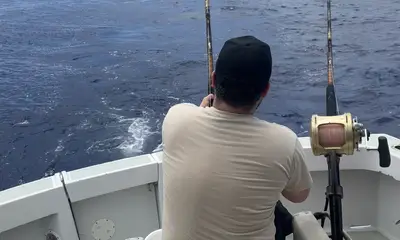 great way to spend the day