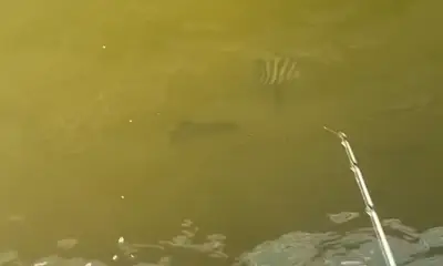 Palm Coast Report Video 0