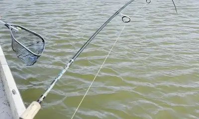 10 out of 10 fishing experience 