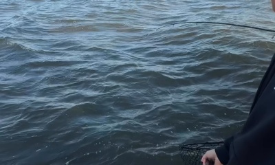 Great Family Trip Fishing 
