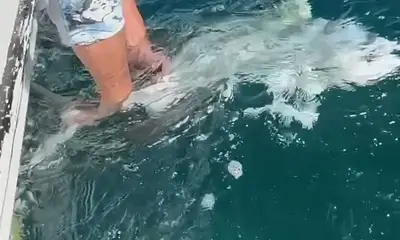 Cabo San Lucas Report Video 0