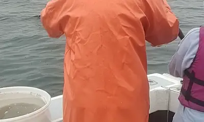 Fishy Weather 