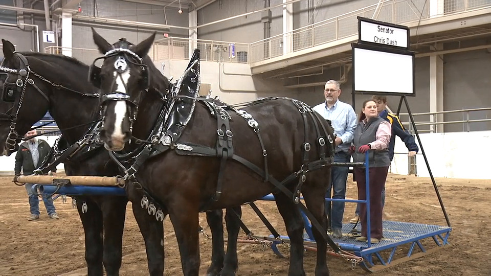 01/12/22 - Celebrity Feed Scurry