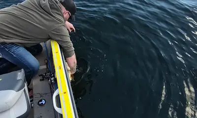 Rapport vidéo Prior Lake 0