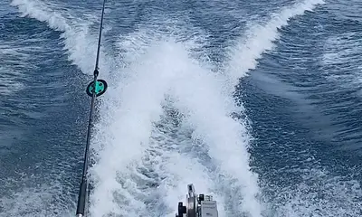 Manistee Report Video 0
