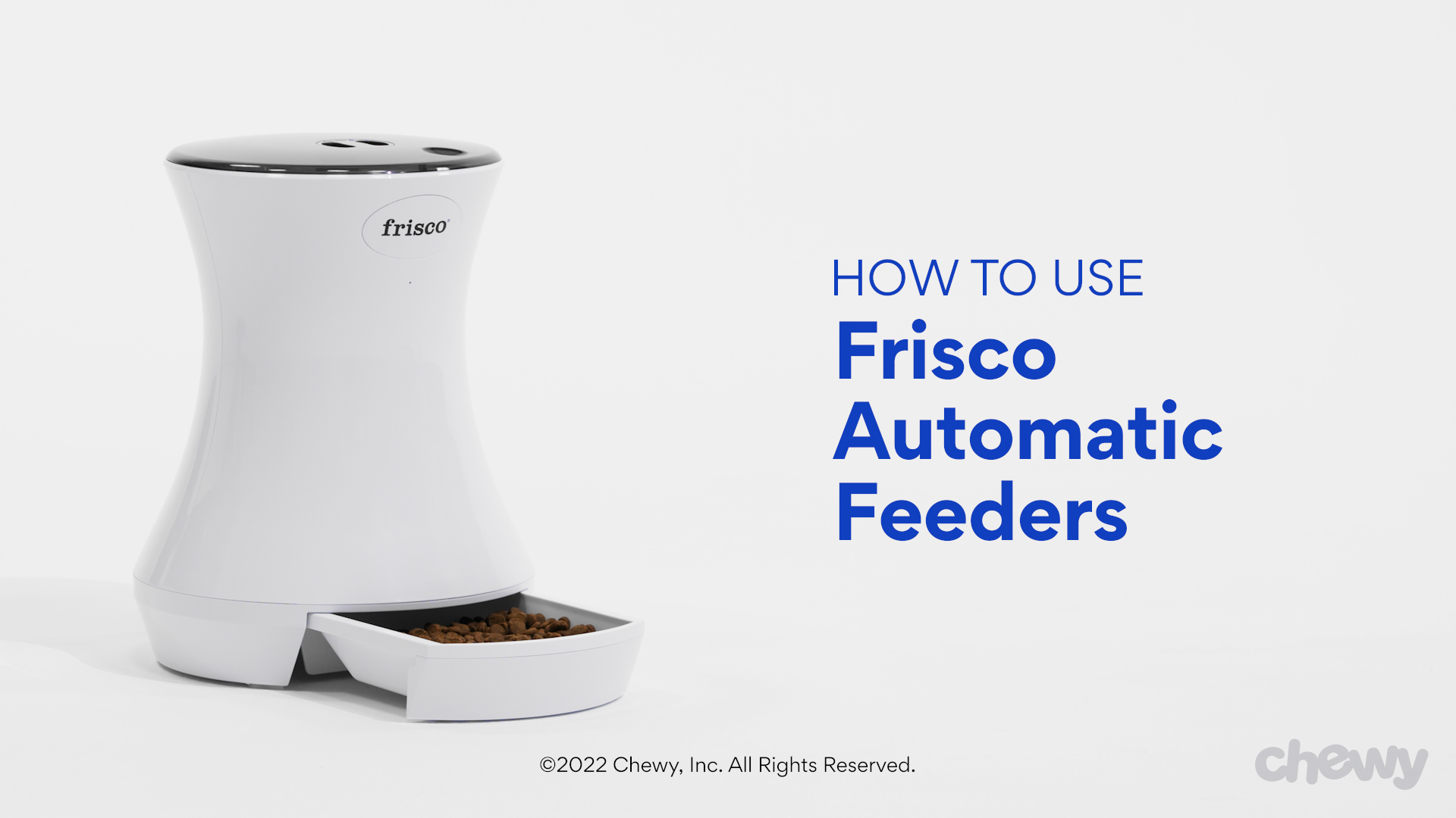 Chewy automatic dog outlet feeder