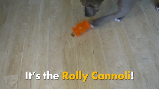 Neater Pets Rolly Cannoli Treat Dispenser Dog Toys Orange - Set of 2