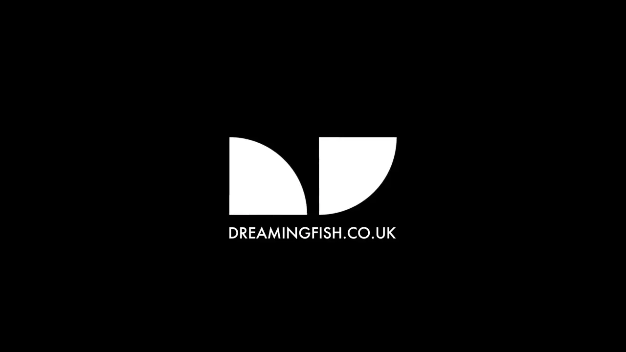 DreamingFish | Dream Big