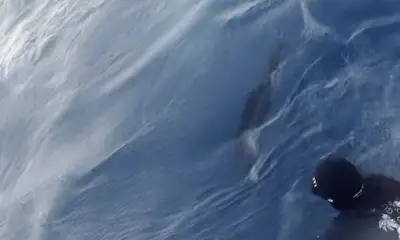 Fort Lauderdale Report Video 0