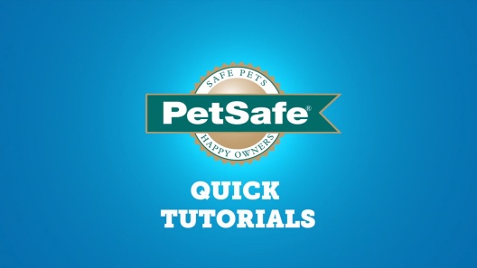Play Video: Learn More About PetSafe From Our Team of Experts