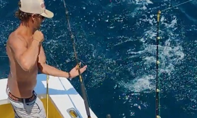 Wanchese Report Video 0