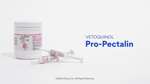 Play Video: Learn More About Vetoquinol From Our Team of Experts