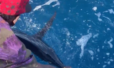 Watamu Report Video 2