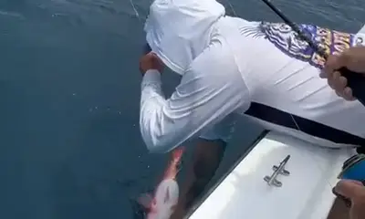 Quepos Bericht Video 0