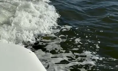 Great time and kid friendly for sure