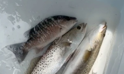 Awesome fishing charter! 