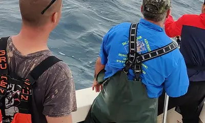 Mastic Report Video 0