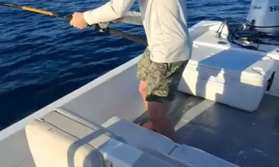 San Jose del Cabo Видео отчет 1
