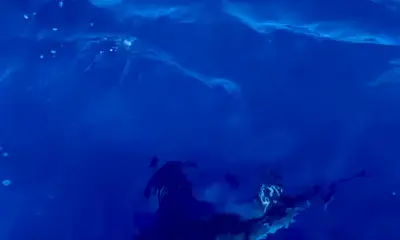 San Jose del Cabo Report Video 0