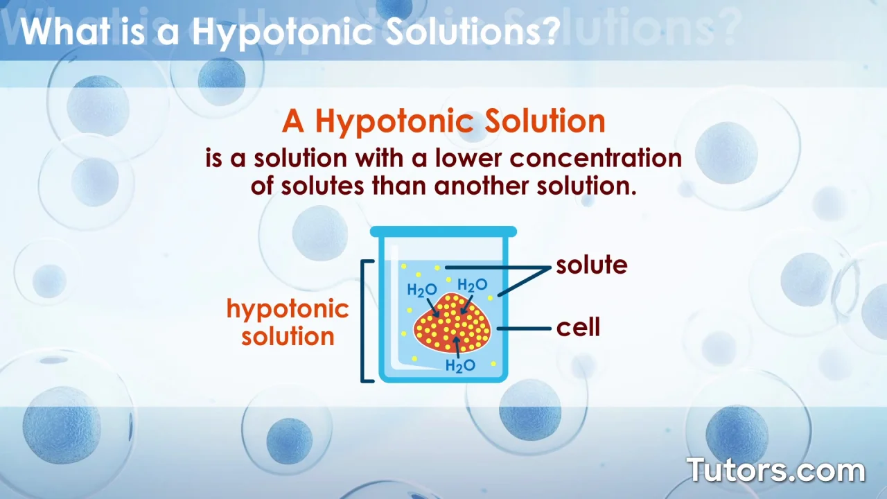 Hypotonic Solution | Definition, Uses, & Examples (Cells)