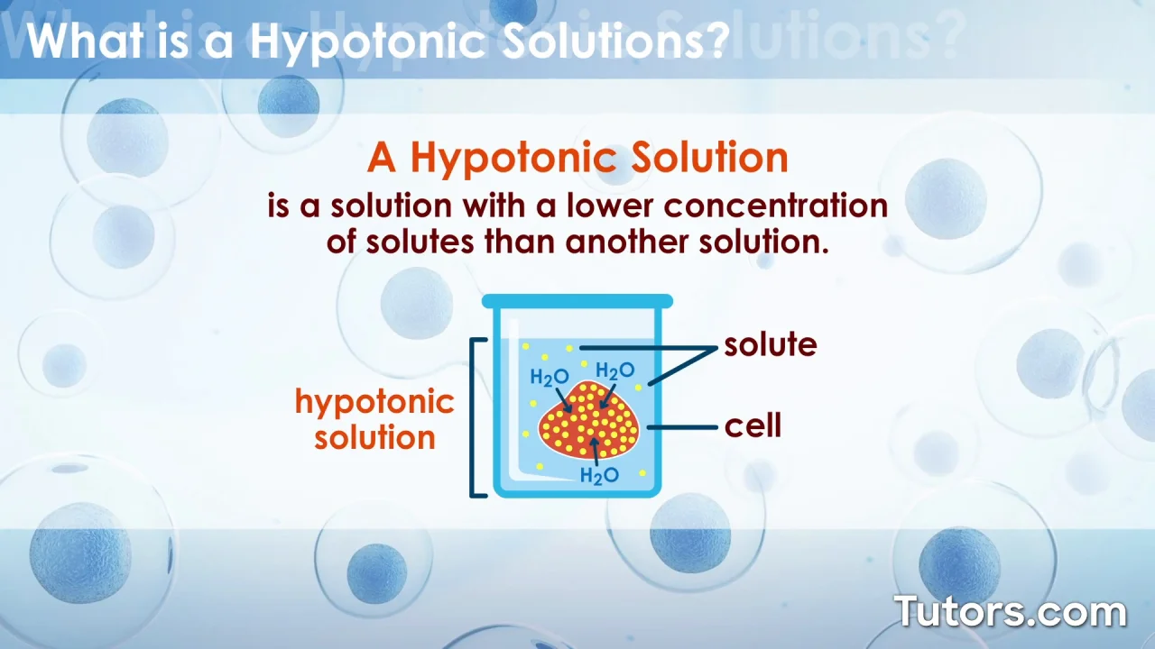 hypotonic plant cell