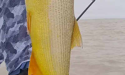 Argentina Verslag Video 2