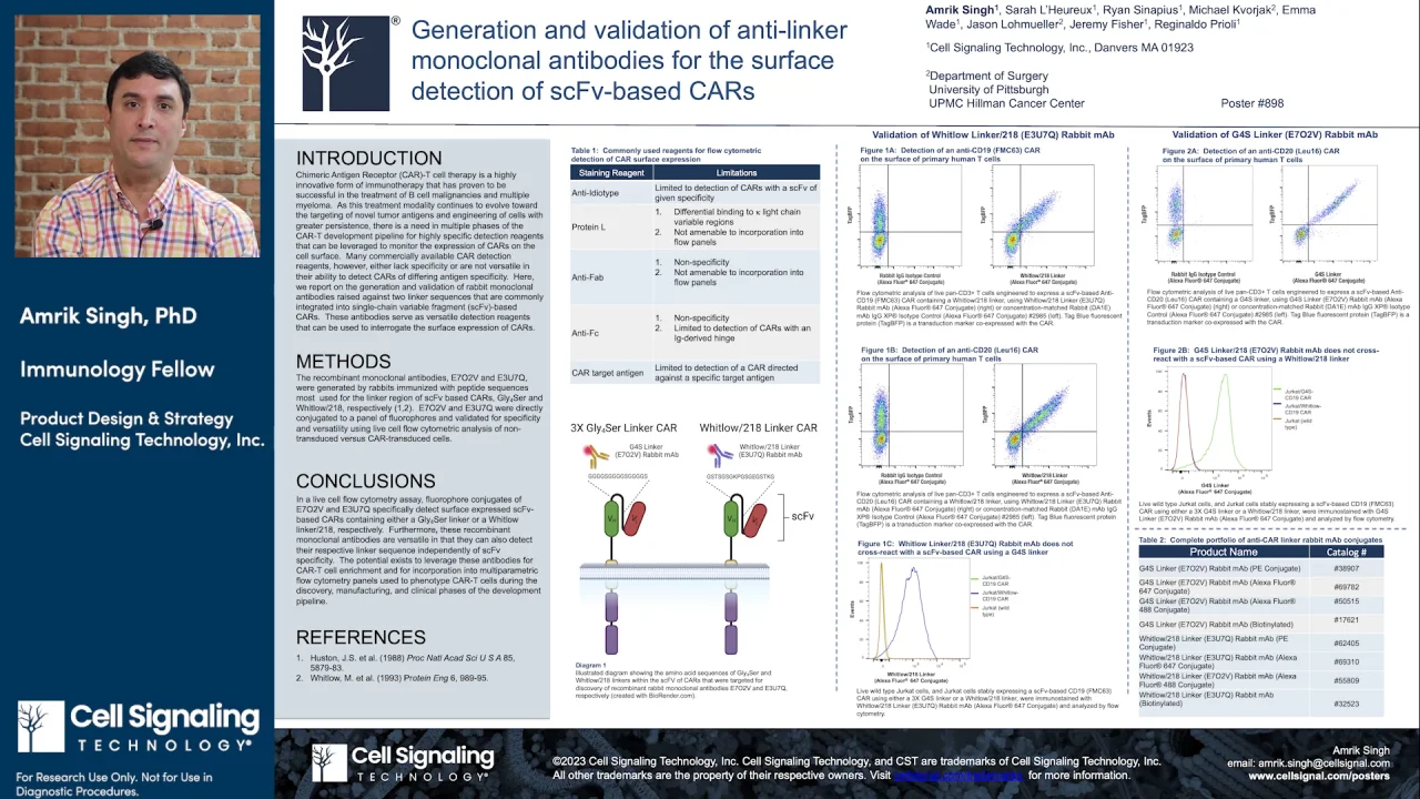 CAR-T Offerings  Cell Signaling Technology