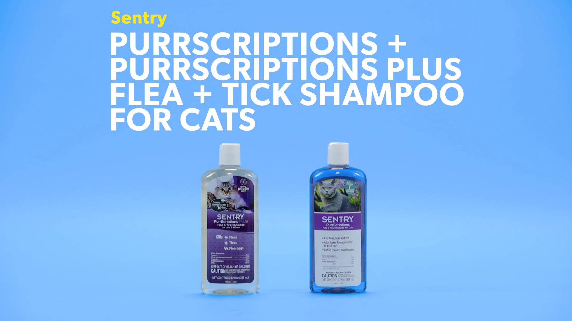 Sentry 2024 cat shampoo