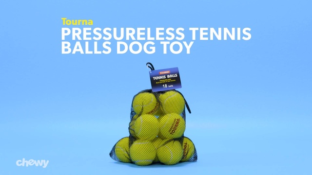 are professional tennis balls bad for dogs