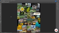 Lesson image
