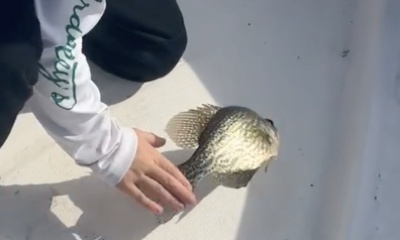 Clewiston Report Video 0