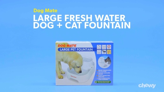 Play Video: Learn More About Dog Mate From Our Team of Experts