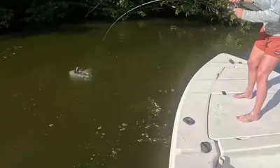 San Juan Report Video 0