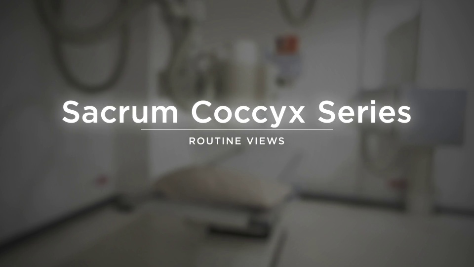 Sacrum/Coccyx | Video Lesson | Clover Learning