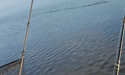 Core family memories were made! 