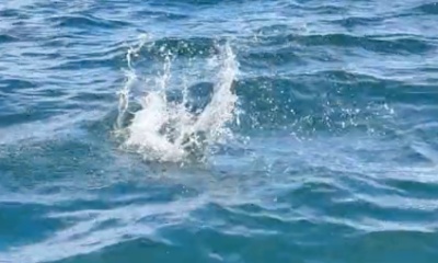 Campbell River Report Video 1