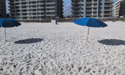 Hook straightening day