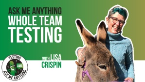 Testing Ask Me Anything - Whole Team Testing image