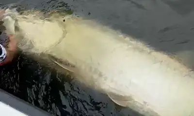 San Juan Report Video 0