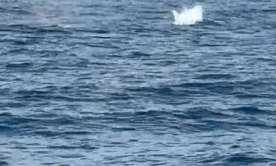 Guanacaste Report Video 2